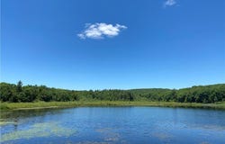Greenwoods Road E, Norfolk, CT 06058