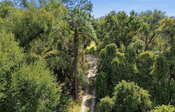 5505 CR 634S, BUSHNELL, FL 33513