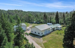 14375 S STRAITS HIGHWAY, WOLVERINE, MI 49799