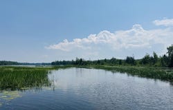 Macey Lane, Alpena, MI 49707