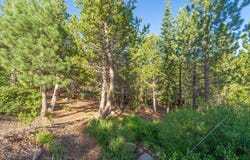 13845 Hillside Drive, Truckee, CA 96161