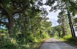 0a Clyde Lofton Road, Sumrall, MS 39482