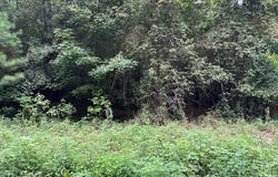200 Barkley Street, Eutawville, SC 29048