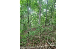 932 Apex Court, Ranger, GA 30175