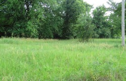 102 Dotson, DeKalb, TX 75559