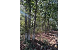 Lot F534 Pinoak Drive, Jim Thorpe, PA 18229