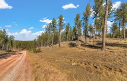 LOT 20 Caledonia Trail, Custer, SD 57730