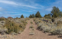 TL 801 Hines Logging Road, Hines, OR 97738