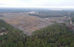 24 acres Goat Hill Rd., Samson, AL 36477
