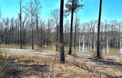 FM 83 lot: 004, Broaddus, TX 75929