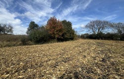 Lt10 Leo Ln, Big Bend, WI 53103