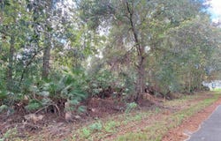 201 Pineway West Ave, Satsuma, FL 32189