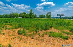 Highway Highway 231/431, Hazel Green, AL 35750