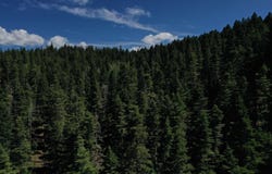 Lee Cir lot: 40A, Cloudcroft, NM 88317