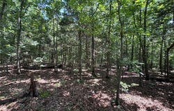 Tbd Hooiser Road, Dixon, MO 65459
