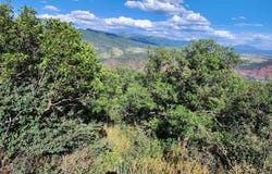 4700 Bear Wallow Lane, Glenwood Springs, CO 81601