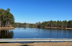 29 Mallard Circle, Butler, GA 31006