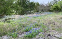 1365 Pedernales Hills RD, Johnson City, TX 78636