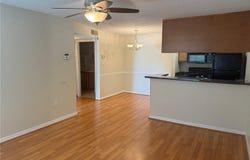 220 LAKE PARSONS Green, BRANDON, FL 33511
