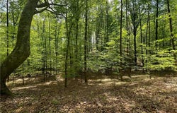0 Pebble Brook Road, Sandy Ridge, NC 27046