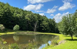 Tbd Cove Ln, Woodlawn, VA 24381