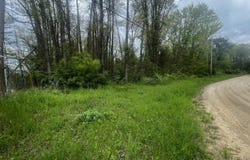 6307 Wilson Street, Coloma, MI 49038