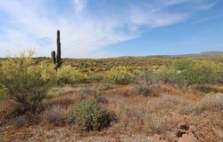 42652 N 22ND Street, New River, AZ 85087