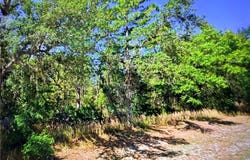 2722 W Pine Ridge Boulevard, Beverly Hills, FL 34465