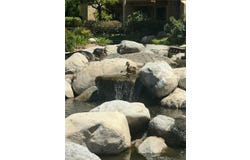 124 Tangelo, Irvine, CA 92618