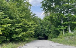 805 Guenther Ridge, Gaylord, MI 49735