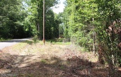 00 Pinola Braxton Road, Braxton, MS 39044