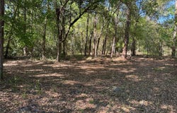 CR 609B, BUSHNELL, FL 33513