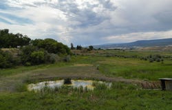 11541 Crawford Street, Paonia, CO 81428