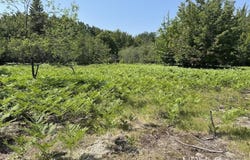TBD 10 Acres Webb, Grand Marais, MI 49839