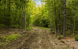S Bridgton Road lot: 28, Bridgton, ME 04009