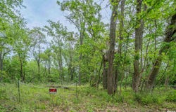 N STEWART Street, Creve Coeur, IL 61610