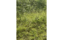33 Walsh Ave, Auburn, MA 01501