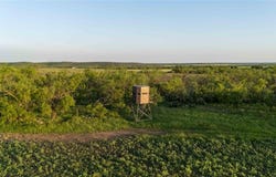2367 County Road 311, Gouldbusk, TX 76845