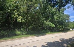 Pine, Stevensville, MI 49127