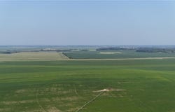 0000 County 61, Browerville, MN 56438