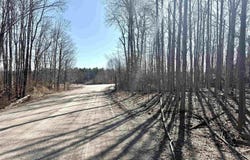 161 W Nachazel Road, Maple City, MI 49664