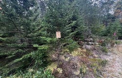 12-3 S Burnt Cove Road, Stonington, ME 04681