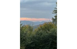 758 State Route 8 Rd + 59.1 Acres (Lot 125.000-1-26.200), Hoffmeister, NY 13353