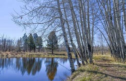 56490 Ii Road, Montrose, CO 81403