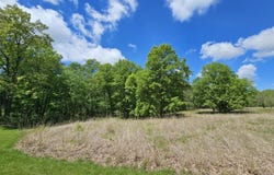 Lot 41 N DEER PARK Drive, Dix, IL 62830