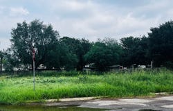 S Walnut, Pearsall, TX 78061