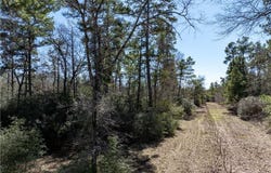 20 Acres Round Prairie Rd, Huntsville, TX 77320
