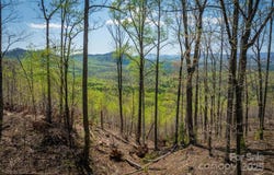 183 Woodgate Trail 103, Nebo, NC 28761