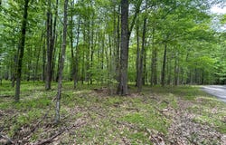 0 Galloway Rd, Dubois, PA 15801