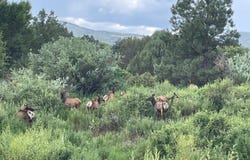9 N3479, Vernon, AZ 85940